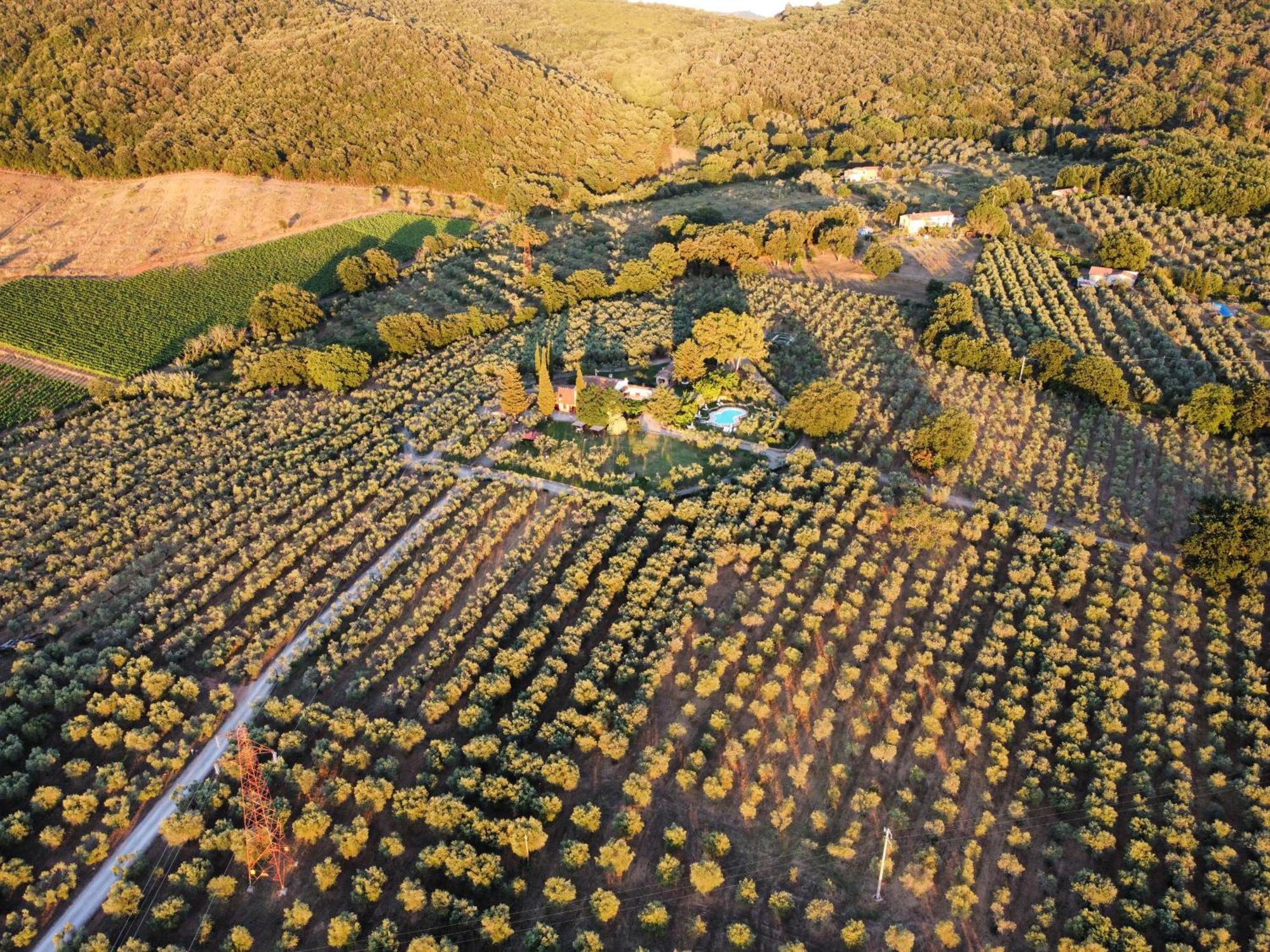 Agriturismo Podere Valdo Gavorrano Exteriör bild