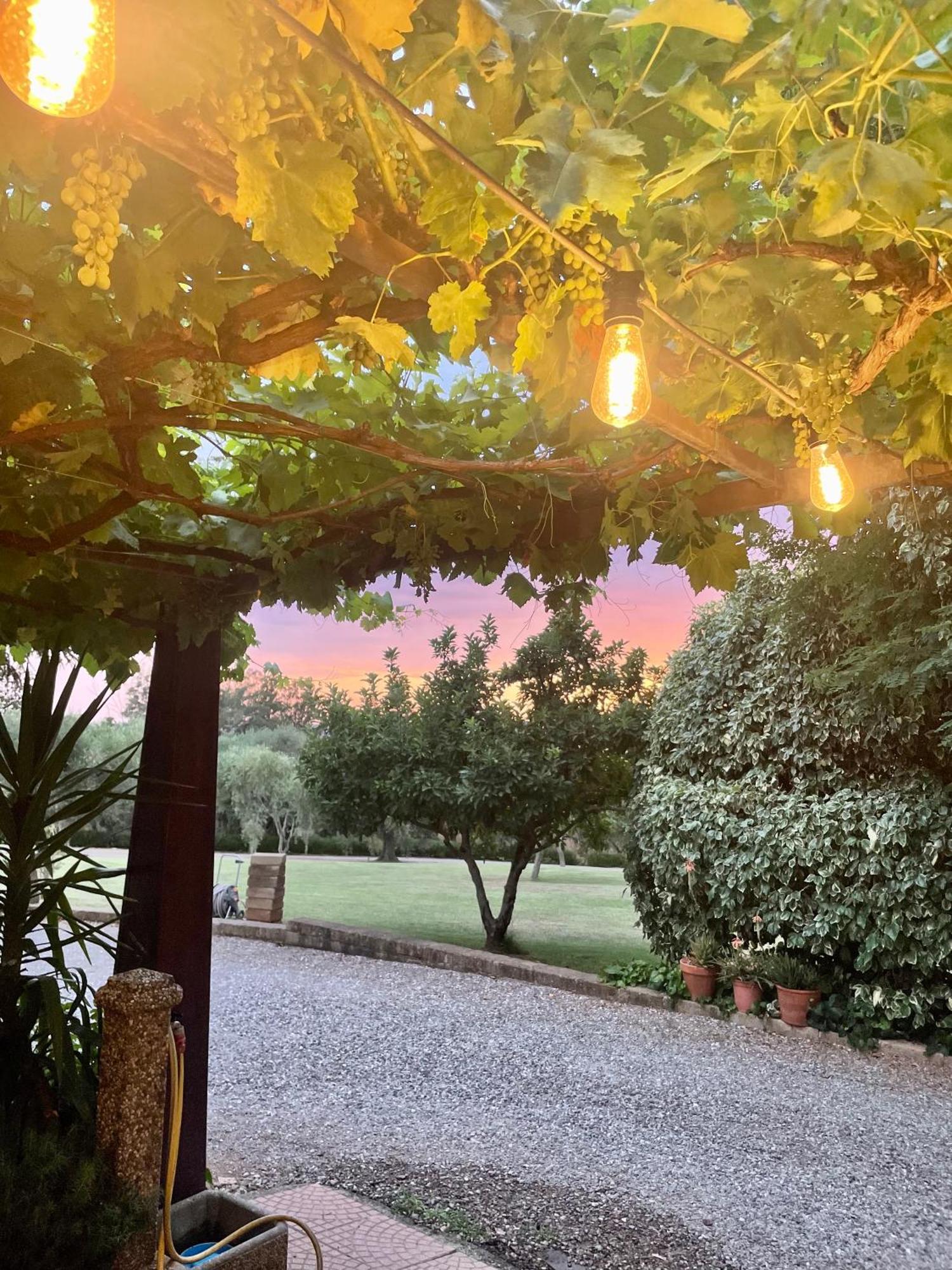 Agriturismo Podere Valdo Gavorrano Exteriör bild