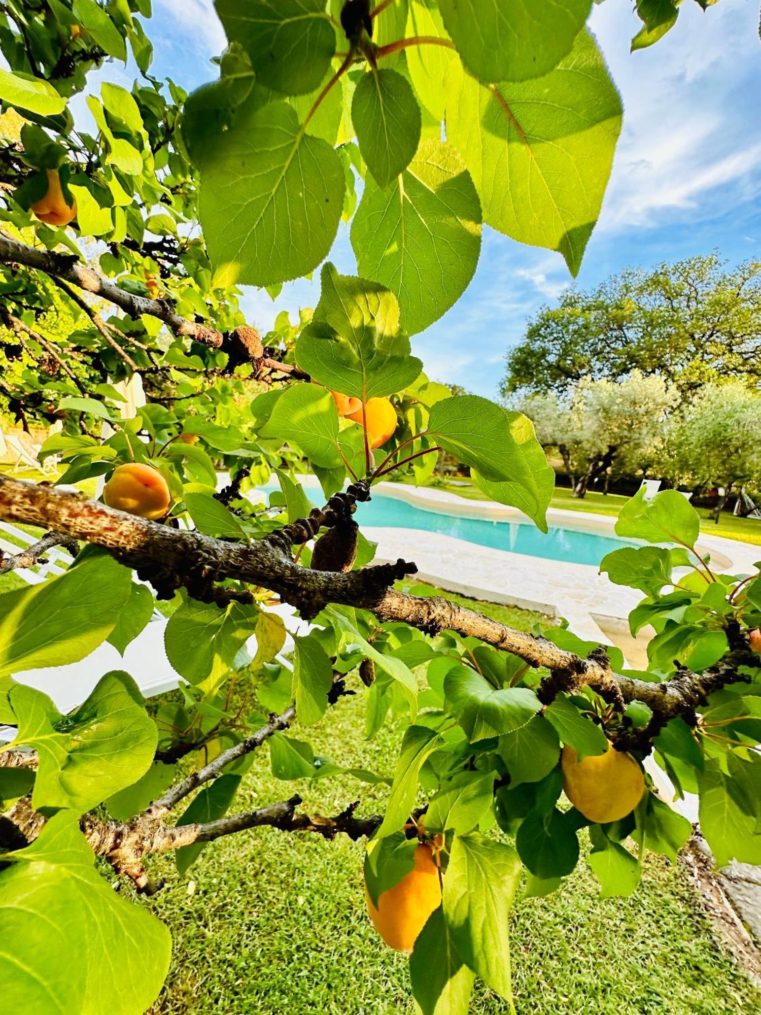 Agriturismo Podere Valdo Gavorrano Exteriör bild