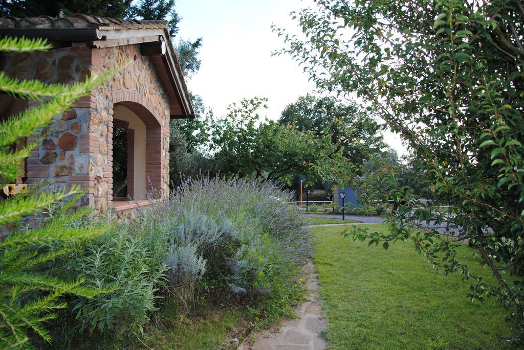 Agriturismo Podere Valdo Gavorrano Rum bild